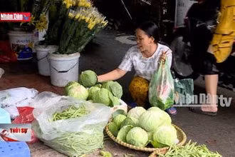 Tăng cường quản lý, điều hành giá sau bão