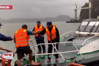 24 người thiệt mạng và mất tích sau bão số 3