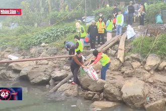 Nét đẹp thả cá Ngày Ông Công Ông Táo