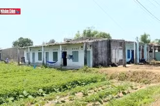 Dự án làng đại học Đà Nẵng "treo" 27 năm