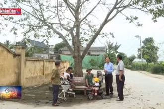 Phát huy vai trò của người cao tuổi trong xây dựng nông thôn mới