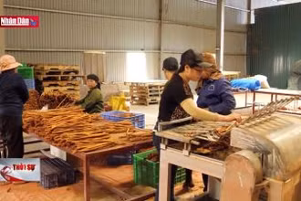 Khó thu hút đầu tư vào các khu kinh tế