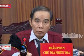 TP Hồ Chí Minh: Tuyên án 254 bị cáo vụ đại án đăng kiểm