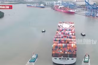 Giải quyết "điểm nghẽn" logistics khu vực Nam Bộ