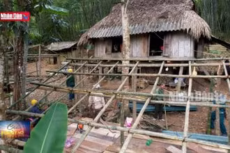 Bố trí nơi ổn định tạm thời cho dân bản