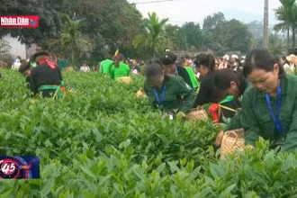 Lễ hội "Hương sắc Trà xuân - Vùng chè đặc sản Tân Cương"