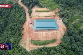 Tháo dỡ công trình trái phép trên đất rừng
