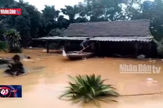 Quảng Bình: Hàng trăm nhà dân ngập sâu do mưa lớn