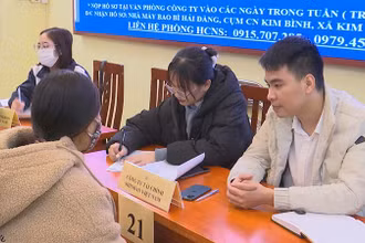 Người lao động tham gia phỏng vấn tìm việc làm trực tiếp với đại diện các công ty tại phiên giao dịch việc làm.