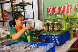 Giám đốc Hợp tác xã nông nghiệp và dịch vụ Sơn Liên, Phạm Thị Trầm giới thiệu sản phẩm nông sản đến người tiêu dùng.