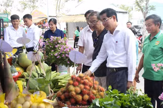 Đại biểu tham quan sản phẩm của nông dân Hòa Vang.