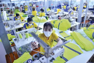 Nhiều doanh nghiệp dệt may đã quay lại thị trường nội địa.