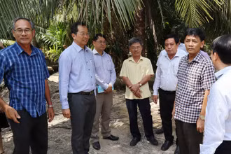 Lãnh đạo tỉnh Sóc Trăng kiểm tra, đôn đốc tiến độ giải phóng mặt bằng dự án cầu Đại Ngãi.