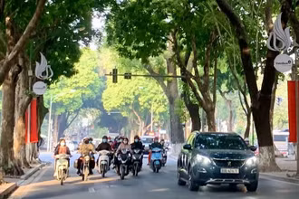 Ảnh minh họa.