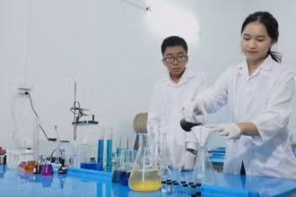 Nhóm học sinh Đỗ Hà Phương, Nguyễn Đức Thái, Trường trung học phổ thông Việt Đức (quận Hoàn Kiếm, Hà Nội) đoạt Giải nhất Cuộc thi nghiên cứu khoa học, kỹ thuật cấp quốc gia.
