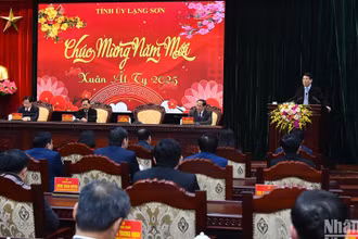 Chủ tịch nước Lương Cường phát biểu tại buổi làm việc. (Ảnh: Thủy Nguyên)