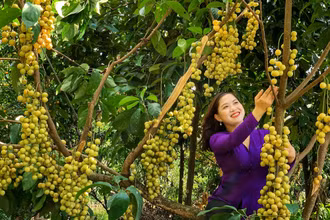 Ảnh minh họa.