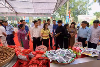 Các đại biểu thăm quan gian hàng đặc trưng của huyện Yên Thế.