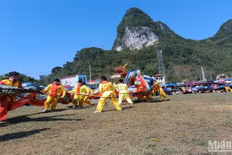 Múa rồng trong Lễ hội tranh đầu pháo thị trấn Quảng Uyên, huyện Quảng Hòa, tỉnh Cao Bằng.