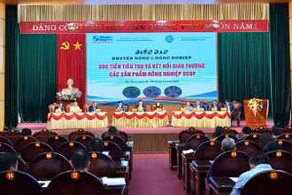 Hơn 200 đại biểu tham dự diễn đàn. (Ảnh: TUẤN SƠN)