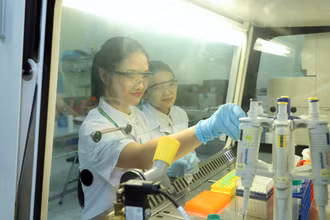 Sinh viên Học viện Nông nghiệp Việt Nam nghiên cứu khoa học trong lĩnh vực nông nghiệp. (Ảnh VIẾT CHUNG)