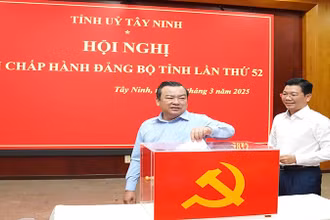 Các đại biểu bầu chức danh Bí thư Tỉnh ủy.