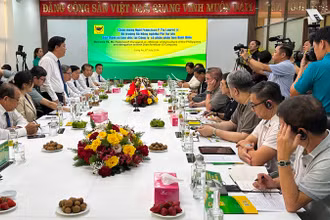 Quang cảnh buổi làm việc.