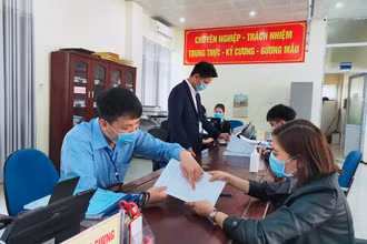 Ảnh minh họa: TRẦN HẢI