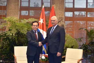 Phó Thủ tướng Trần Lưu Quang hội kiến đồng chí Miguel Diaz-Canel, Bí thư thứ nhất Ban Chấp hành Trung ương Đảng cộng sản Cuba, Chủ tịch nước Cuba - Ảnh: VGP