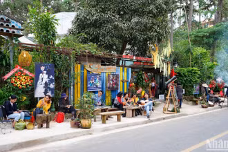 Trên Cung đường nghệ thuật Đà Lạt.