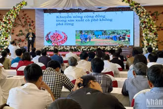 Quang cảnh tọa đàm.