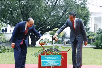 Trong chuyến thăm, Tổng thống Joko Widodo đã mời Chủ tịch nước Nguyễn Xuân Phúc trồng cây sao đen tại Dinh Tổng thống, gửi gắm kỳ vọng cây mau lớn, ngày càng xanh tốt. 