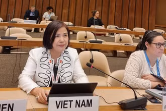 Đại sứ Lê Thị Tuyết Mai tham dự và phát biểu thảo luận tại Khóa họp Hội đồng kinh tế - xã hội của Liên hợp quốc (ECOSOC) về các hoạt động hỗ trợ nhân đạo năm 2023. (Nguồn: Phái đoàn đại diện thường trực Việt Nam tại Geneva)