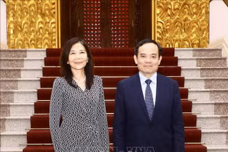 Phó Thủ tướng Trần Lưu Quang tiếp Điều phối viên thường trú Liên hợp quốc Pauline Tamesis. (Ảnh: TTXVN)