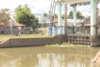 [Video] Xâm nhập mặn ở Đồng bằng sông Cửu Long có xu thế giảm