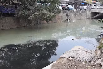 [Video] Cấp bách xử lý ô nhiễm lưu vực sông: Bộ ngành, địa phương “bắt tay” hành động