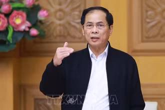 Phó Thủ tướng, Bộ trưởng Bộ Ngoại giao Bùi Thanh Sơn. (Ảnh tư liệu: Dương Giang/TTXVN)