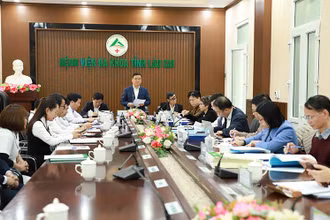 Thẩm định các điều kiện để thực hiện kỹ thuật lấy, ghép thận từ người hiến sống và người hiến chết não tại Bệnh viện đa khoa tỉnh Lào Cai.
