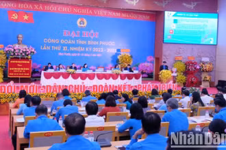 Các đại biểu dự Đại hội Công đoàn tỉnh Bình Phước lần thứ 11, nhiệm kỳ 2023-2028.