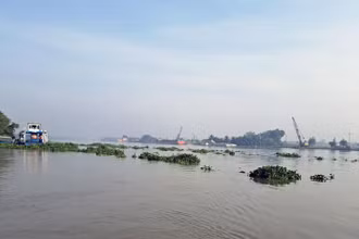 Sông Sài Gòn chảy qua địa bàn thành phố Thuận An, tỉnh Bình Dương.
