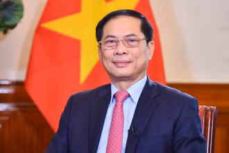 Bộ trưởng Ngoại giao Bùi Thanh Sơn. (Ảnh: Bộ Ngoại giao) 