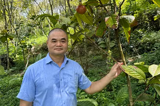 TS Vũ Văn Tâm tại Công viên Trà Hoa vàng, Thung lũng Cổ Ngựa, huyện Nho Quan, Ninh Bình.