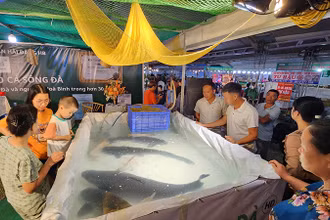 Khu trưng bày cá trắm đen loại hơn 20kg tại Hội chợ.