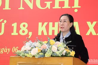 Bí thư Tỉnh ủy Quảng Ngãi Bùi Thị Quỳnh Vân phát biểu khai mạc hội nghị.