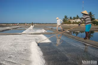 Đồng muối Sa Huỳnh không chỉ mang giá trị kinh tế mà còn có giá trị văn hóa, lịch sử của người dân Sa Huỳnh cổ. 