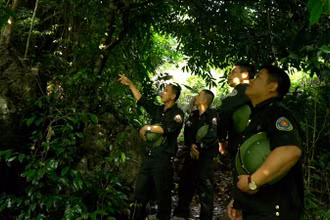 Lực lượng bảo vệ rừng tỉnh Lạng Sơn tuần tra, kiểm tra phòng, chống nguy cơ cháy rừng.