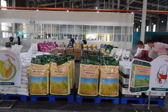 Gạo Việt Nam được ưa chuộng tại thị trường Philippines. 