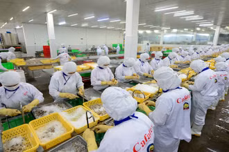 Thủy sản là một trong những mặt hàng còn nhiều tiềm năng xuất khẩu sang thị trường khu vực Đông Bắc Á.
