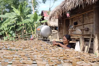 Bản Khe Búng và bản Cò Phạt có tổng số 243 hộ thì có đến 235 hộ nghèo, chiếm tỷ lệ 96,7%. 