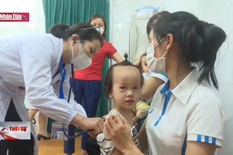 Bắc Kạn đề nghị hỗ trợ giám sát dịch cúm B đang bùng phát